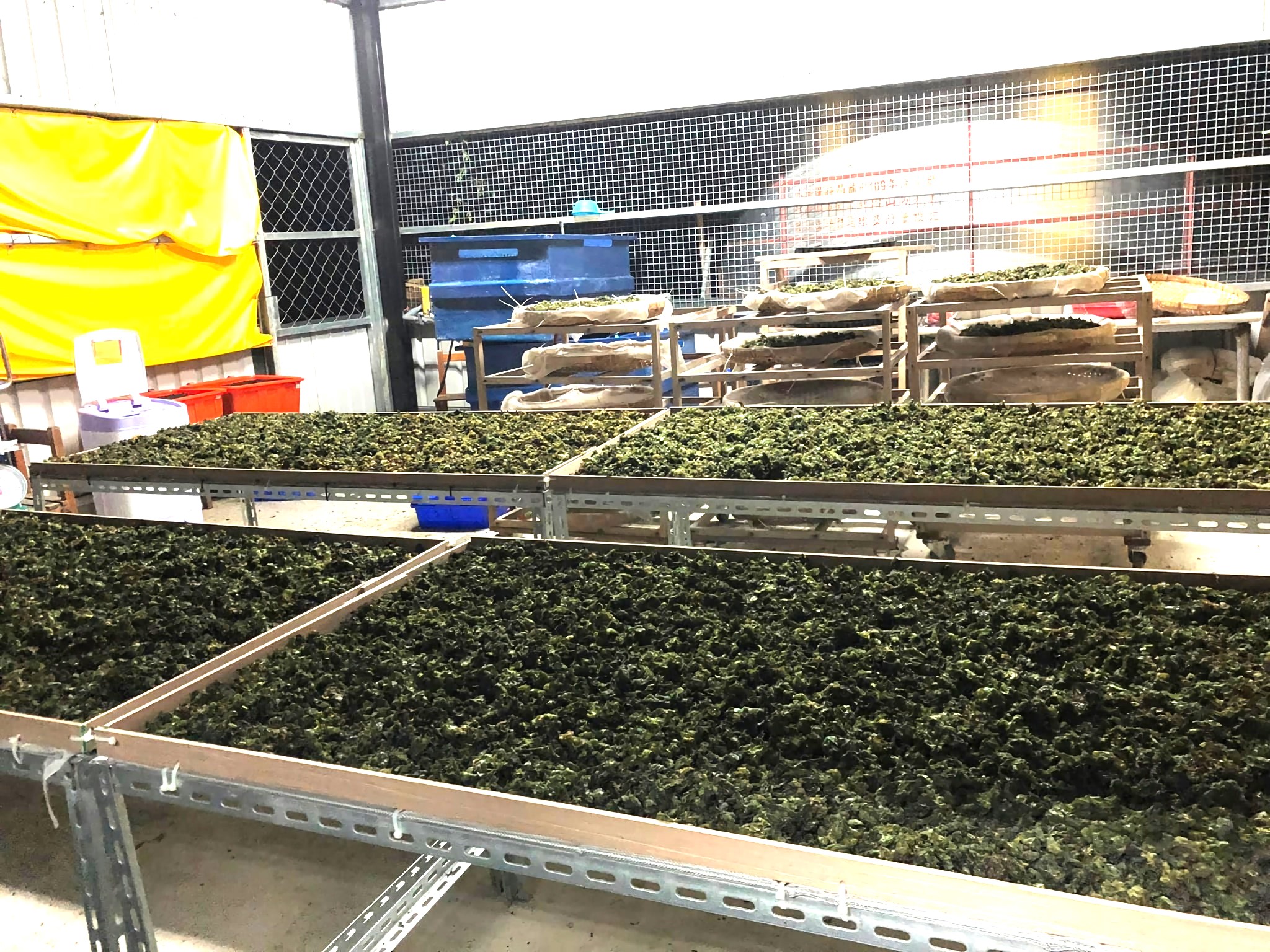 不只有機無毒種植，處理過程全程高架避免汙染。