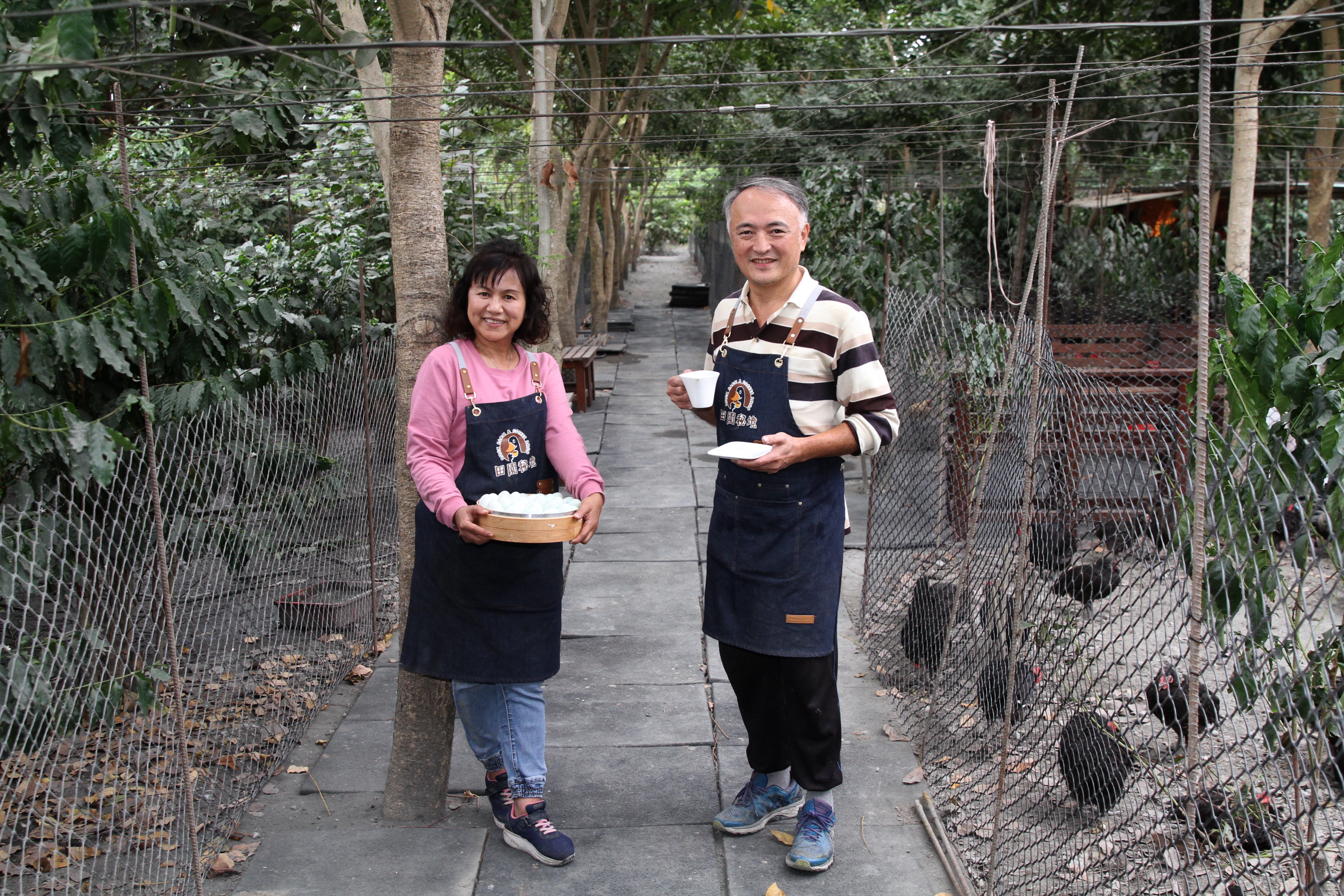 老闆夫婦自稱「阿豆桑」、「廚娘」栽植阿勃勒黃金大道，兼顧咖啡半日照特性。