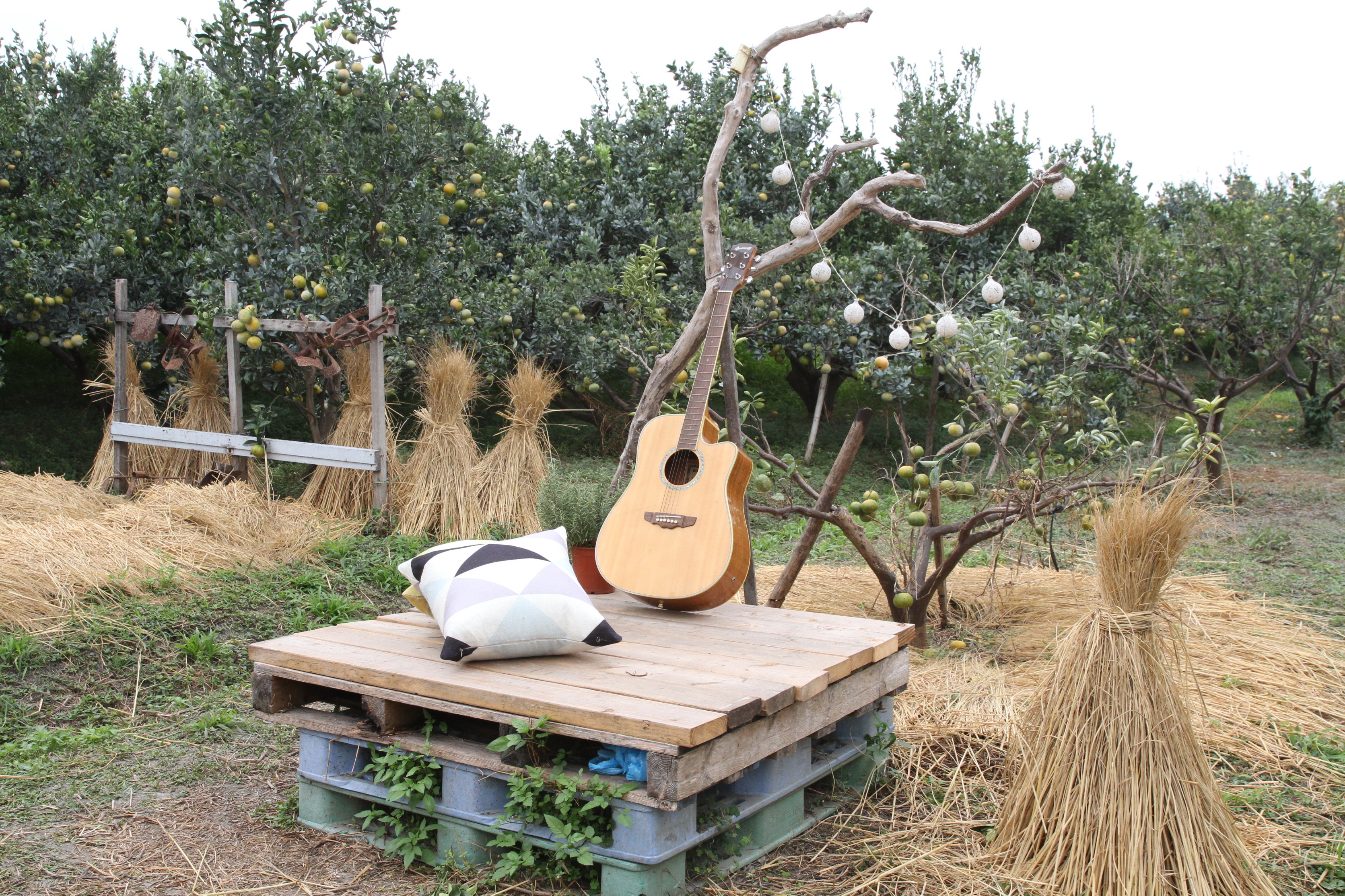 稻草、吉他佈景在果園顯得特殊又輕鬆。