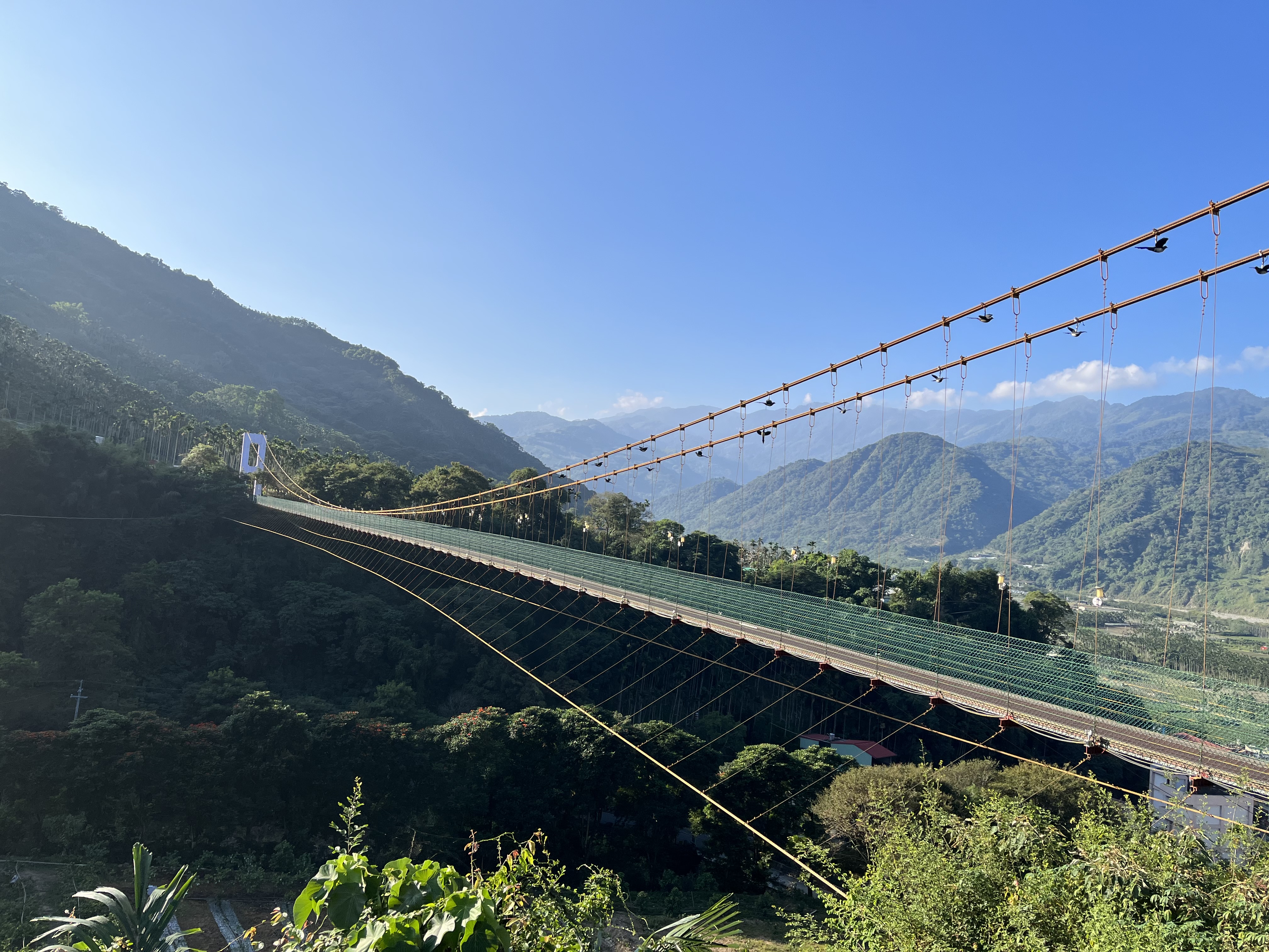 壯闊吊橋搭配天然山景，拍照打卡不輸國外美景。