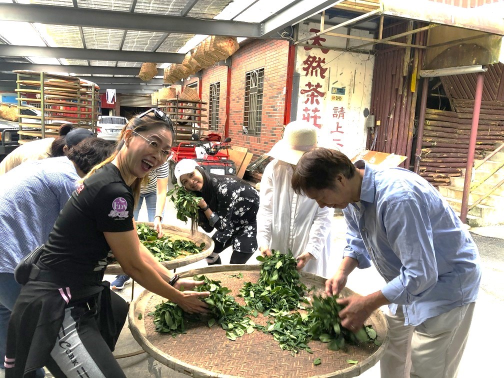 天然茶莊學製茶體驗。