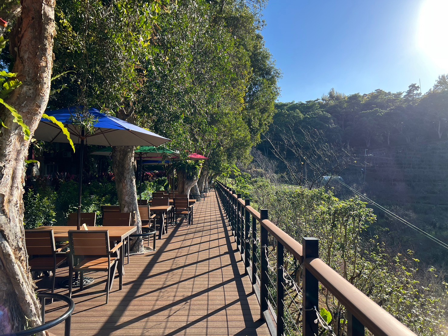 遊客可租借茶具在農場品茗。