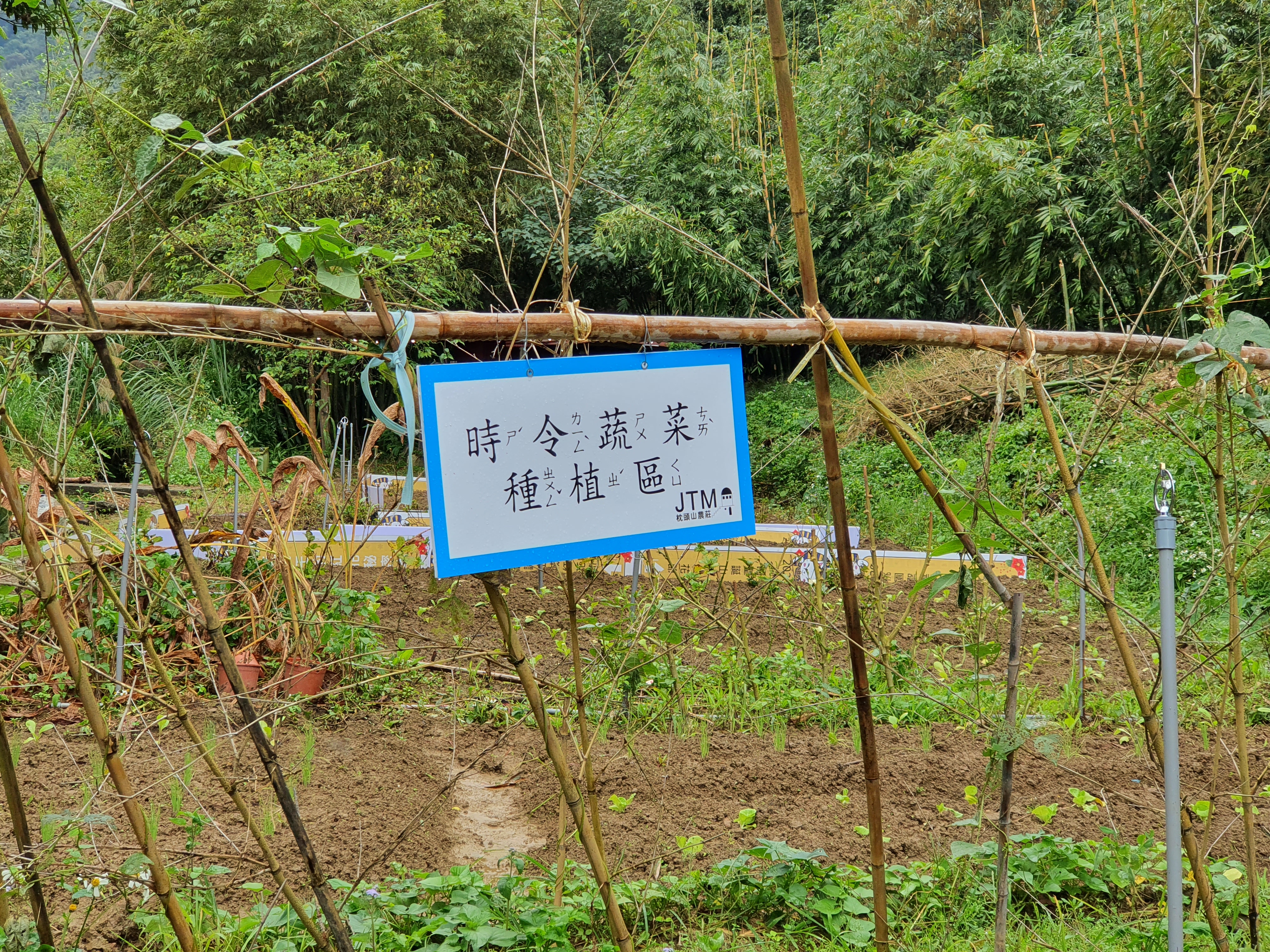提供遊客體驗的蔬菜田園。
