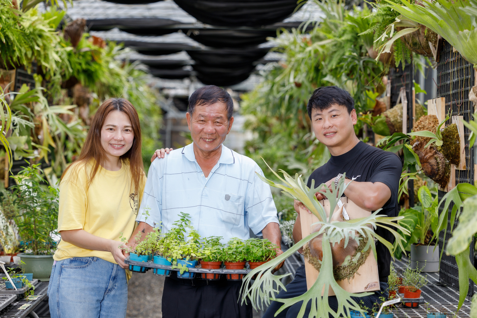 燕葦與老公黃仁祥從爸爸手中接手下這座園子,開始嘗試轉型,打造了香草花園種植其他更多的香草推廣。