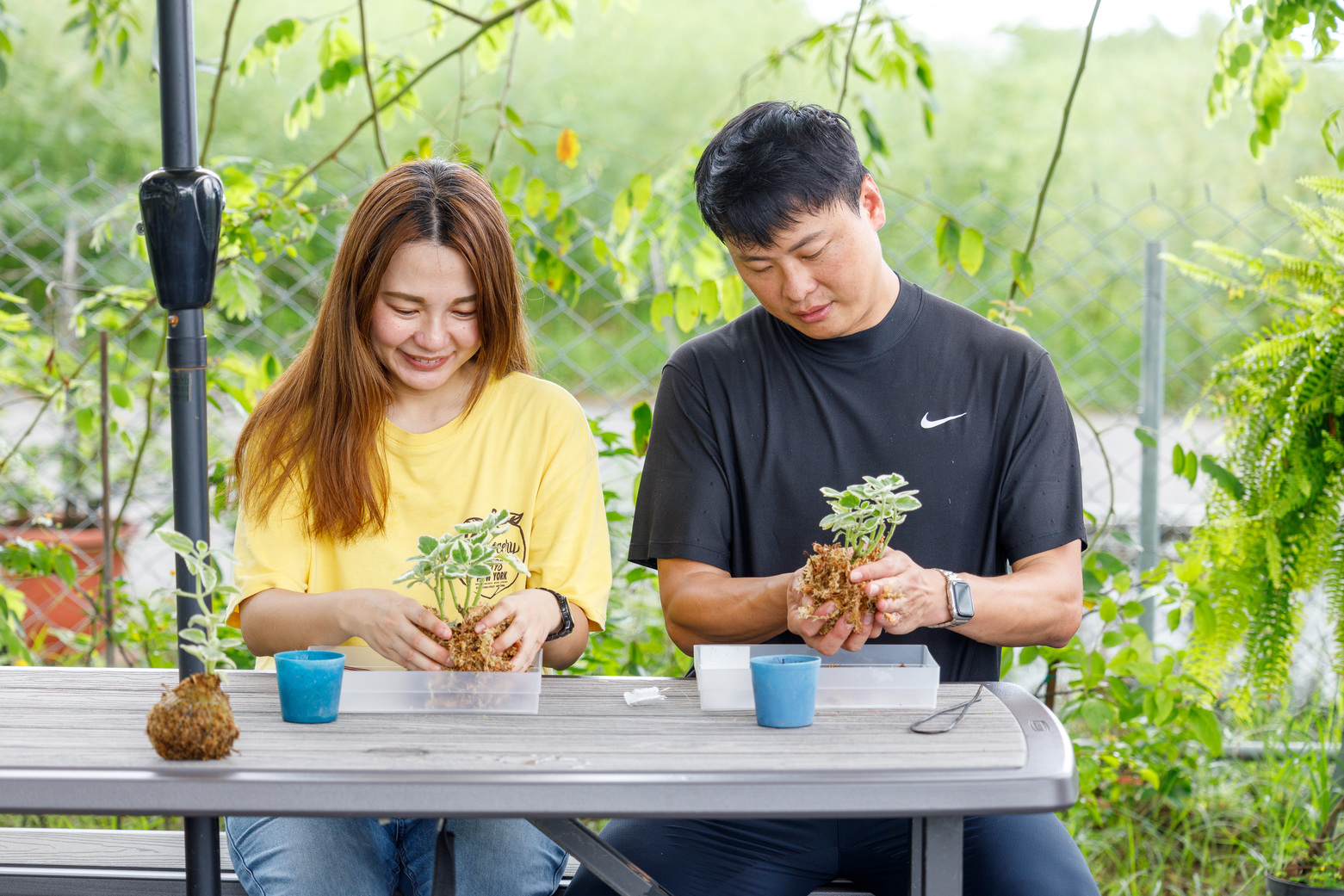 現場會有老師手把手教手做苔球DIY。