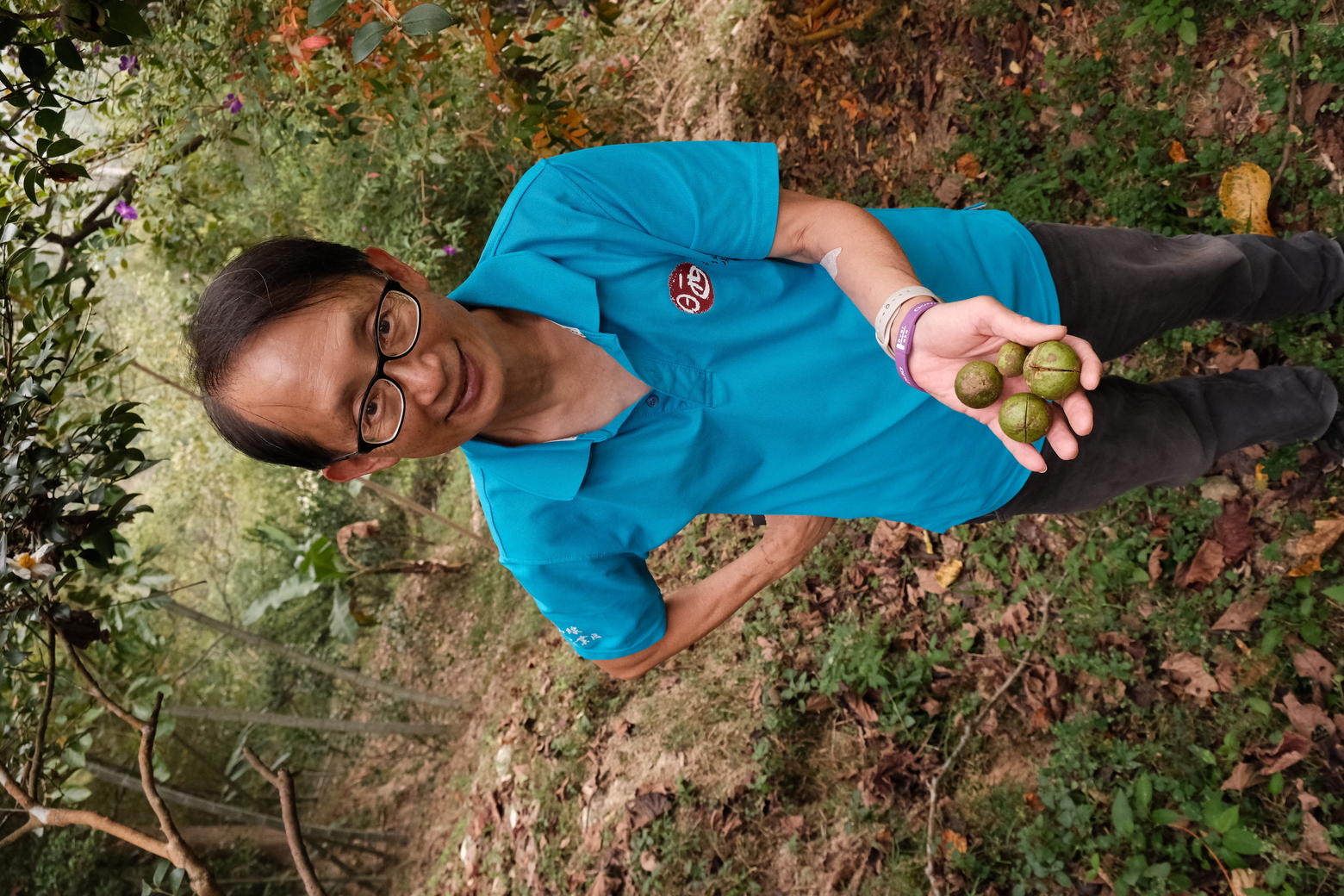 柏竺山莊主人陳英仁介紹園區豐富的樹林生態，像是採摘茶籽讓遊客體驗另類採果。