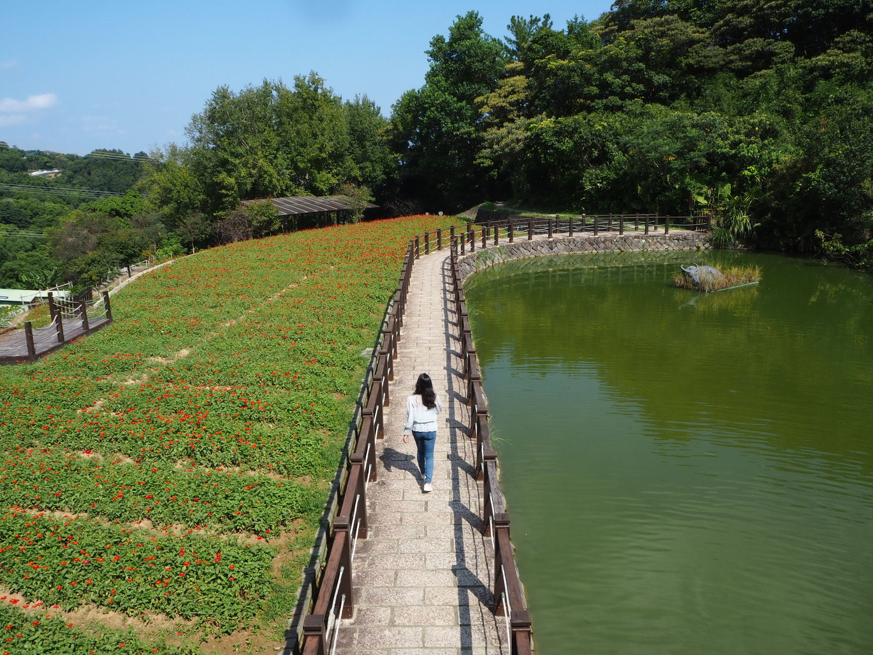 樟樹步道。