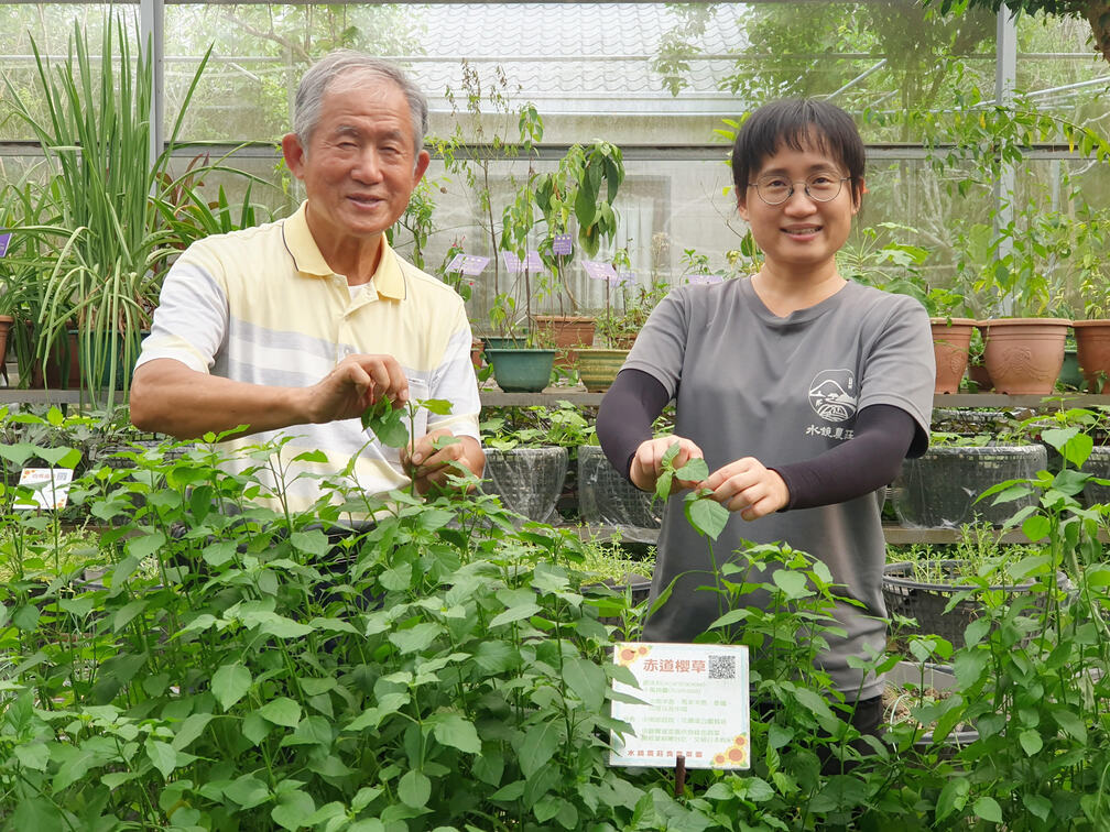 水鏡農莊可體驗採菜。圖為農場主人吳坤仁（左）與女兒吳彥瑾。