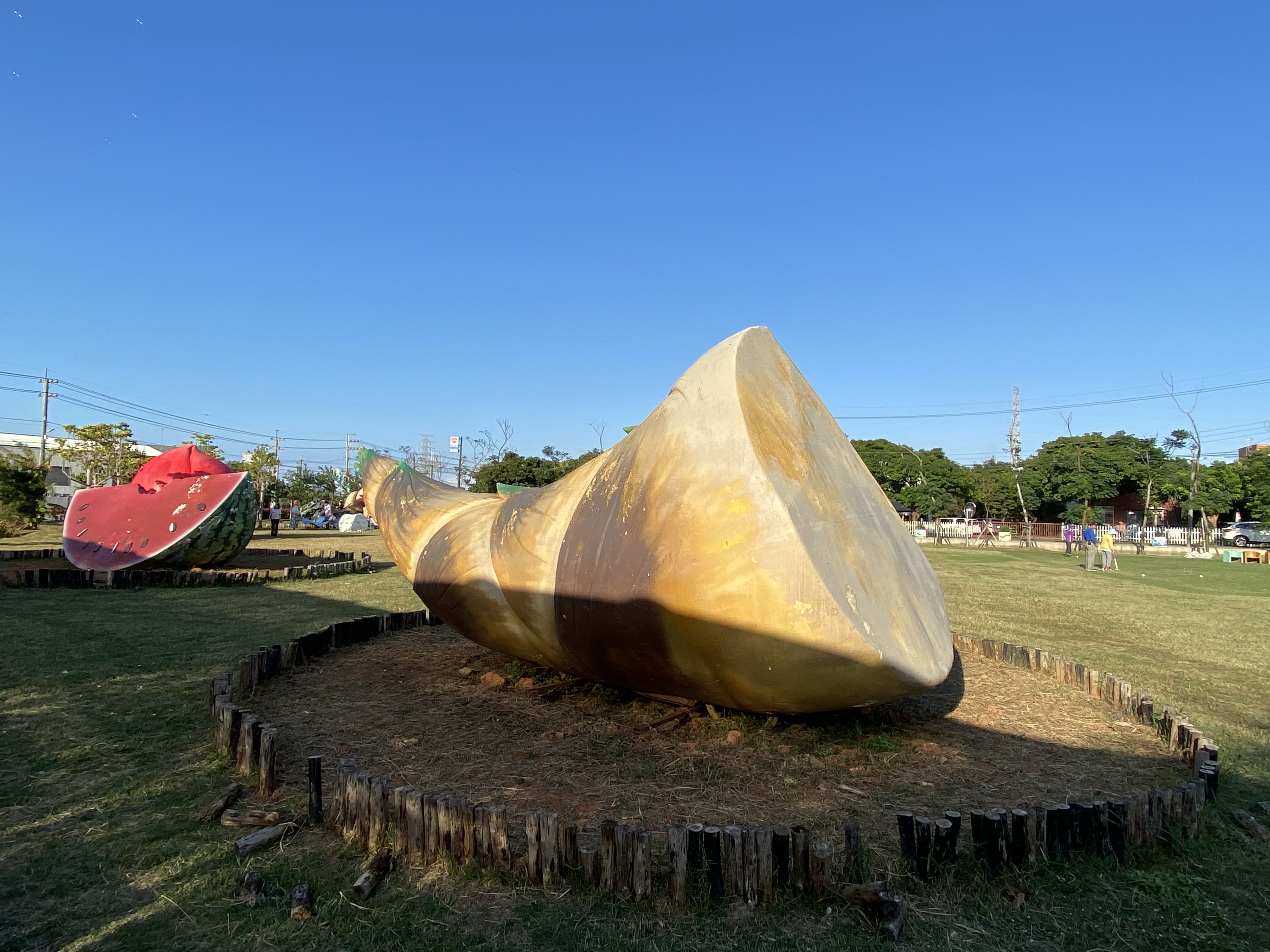 活動場域大，也有在地農產化身美麗造景。