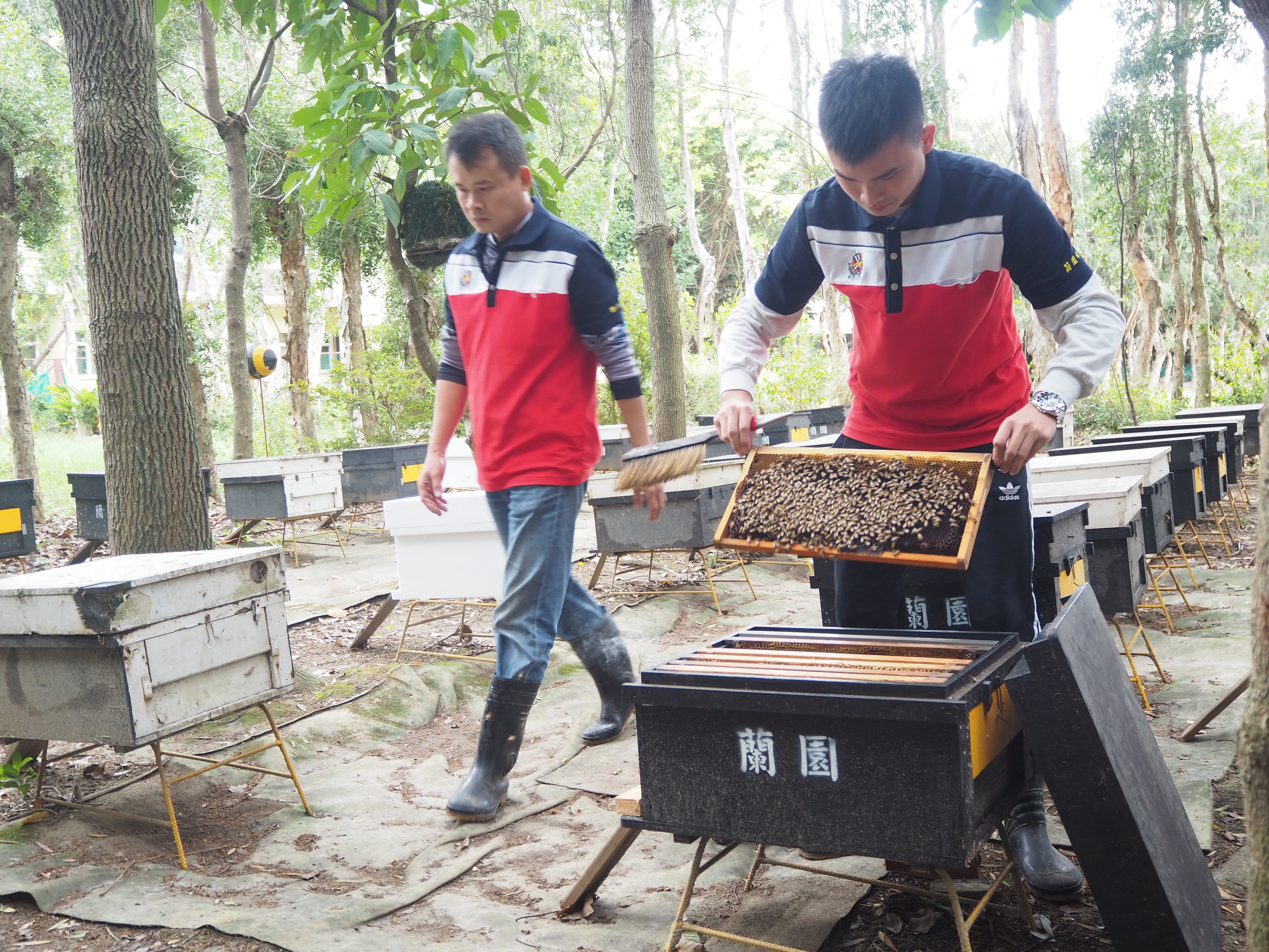 父子攜手打造蘭園品牌，走向更精緻化的休閒體驗之路。