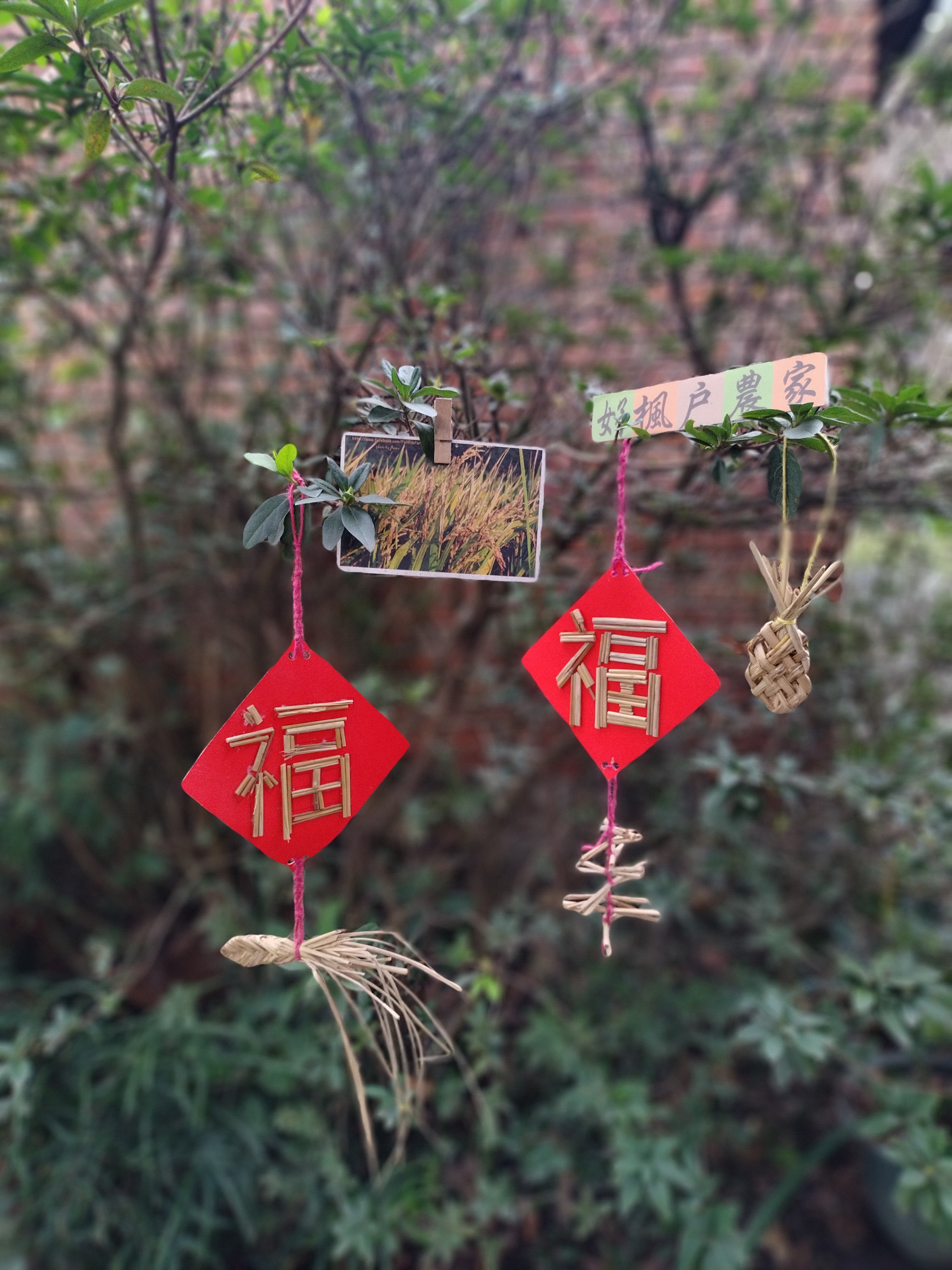 使用收割後的稻草製作生活用品：稻草創意吊飾。