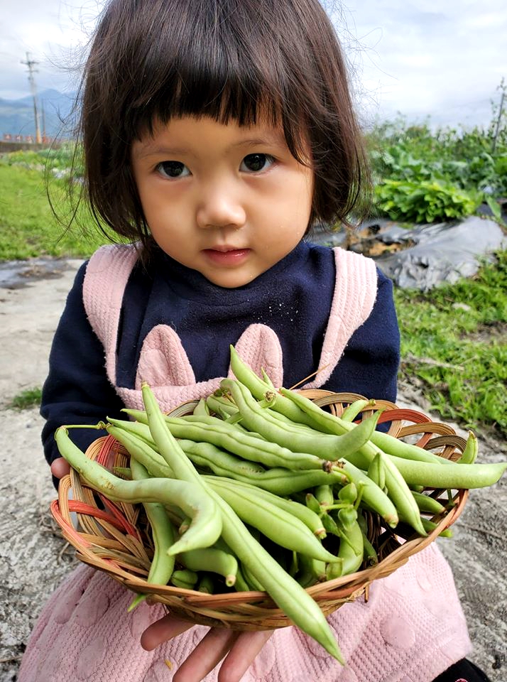 當令蔬菜採摘體驗