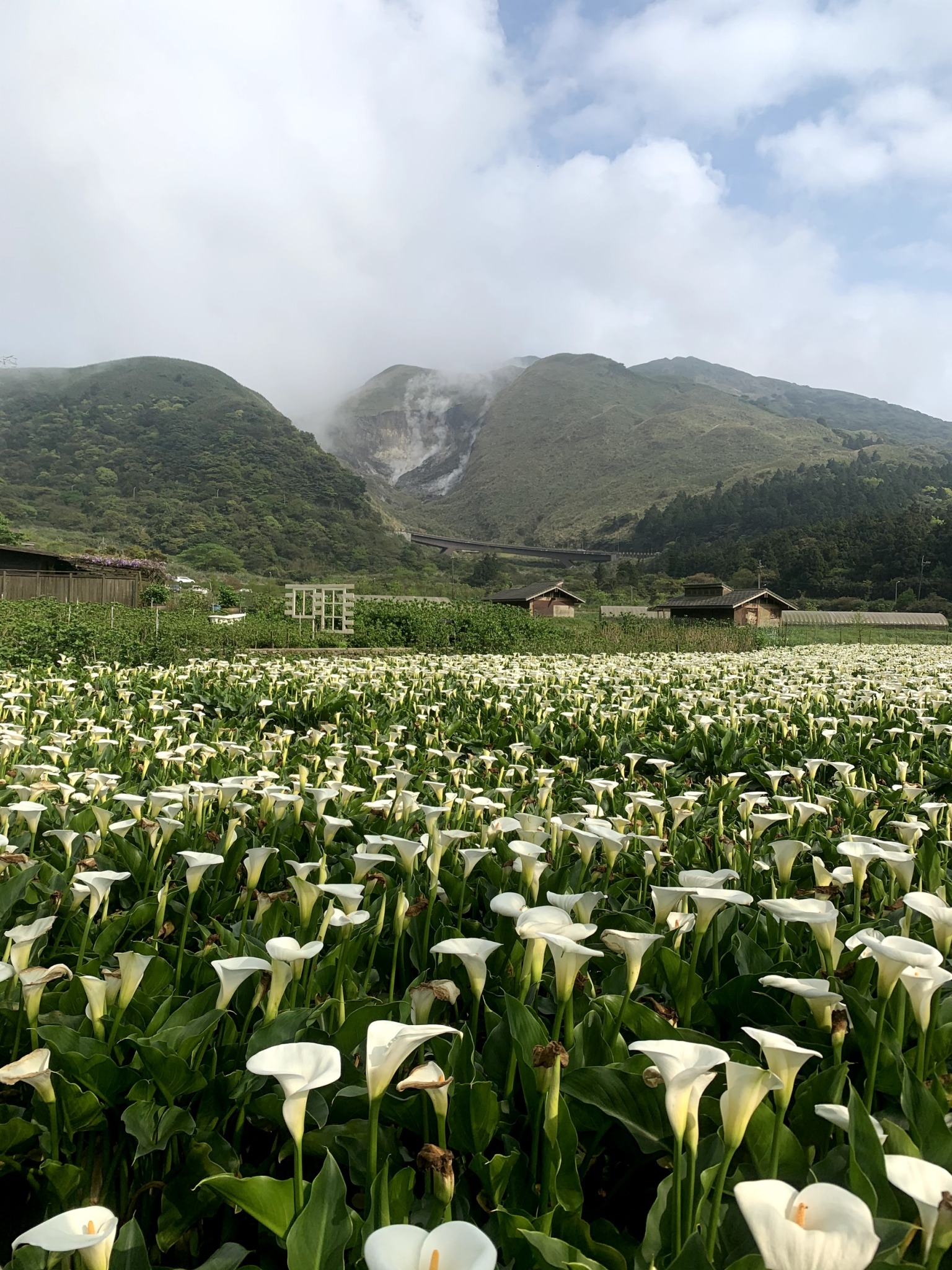 花谷─花季期間美景天成。