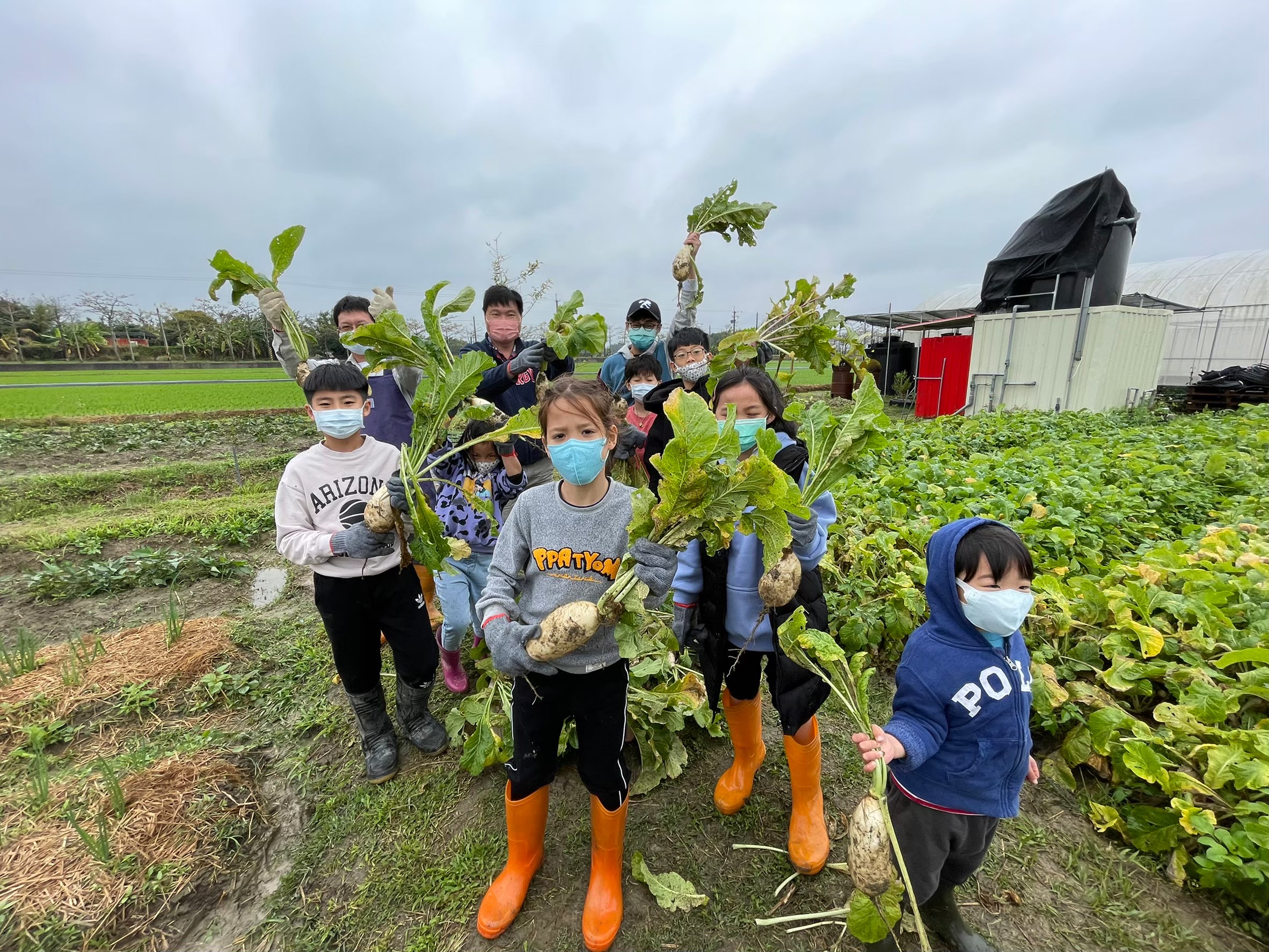 現在蓮心園在白河木棉花季及平日會開放民眾體驗種菜、採菜樂趣。