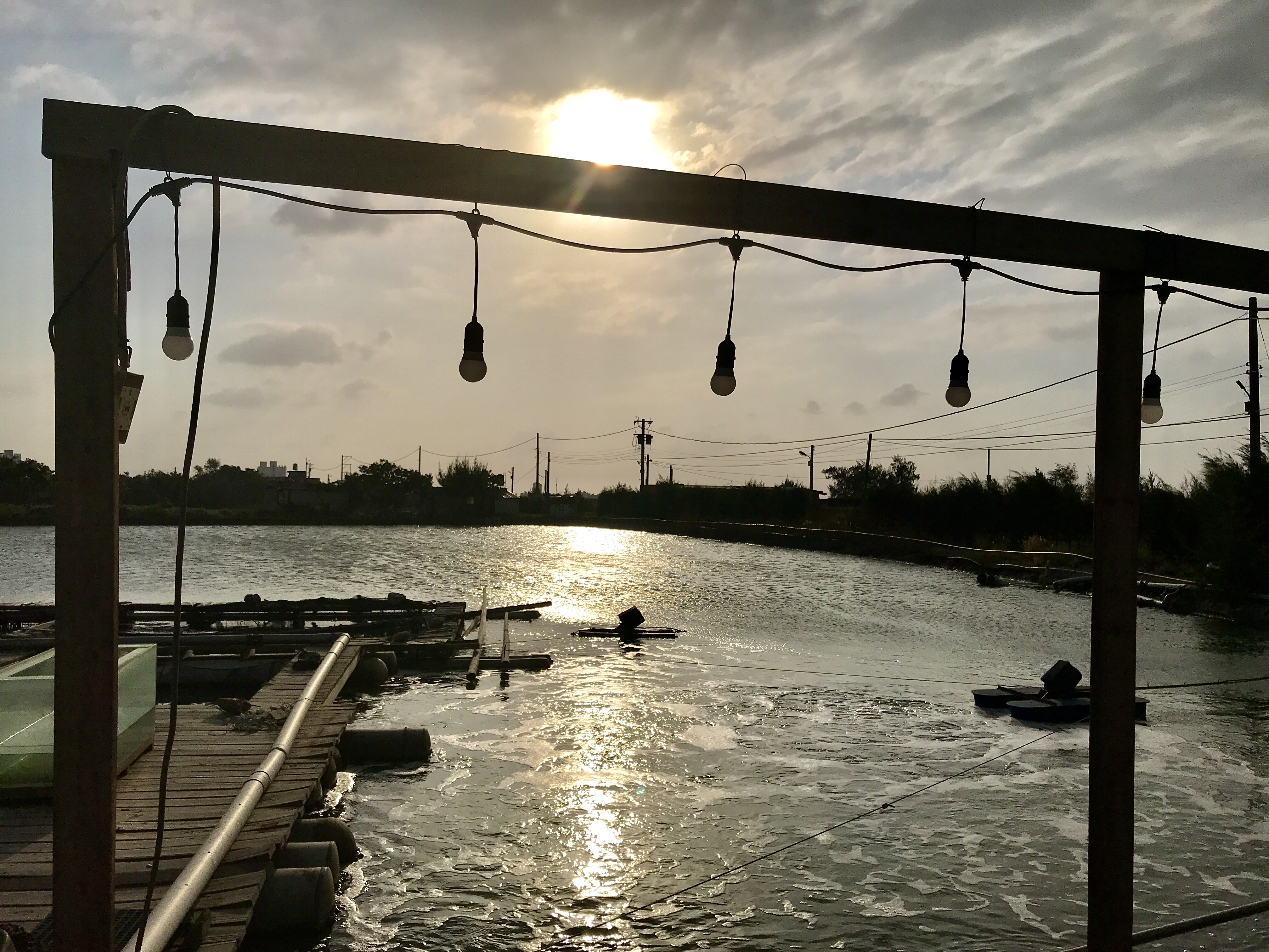 魚寮引進天然純海水，最最天然的生態環境來友善養殖