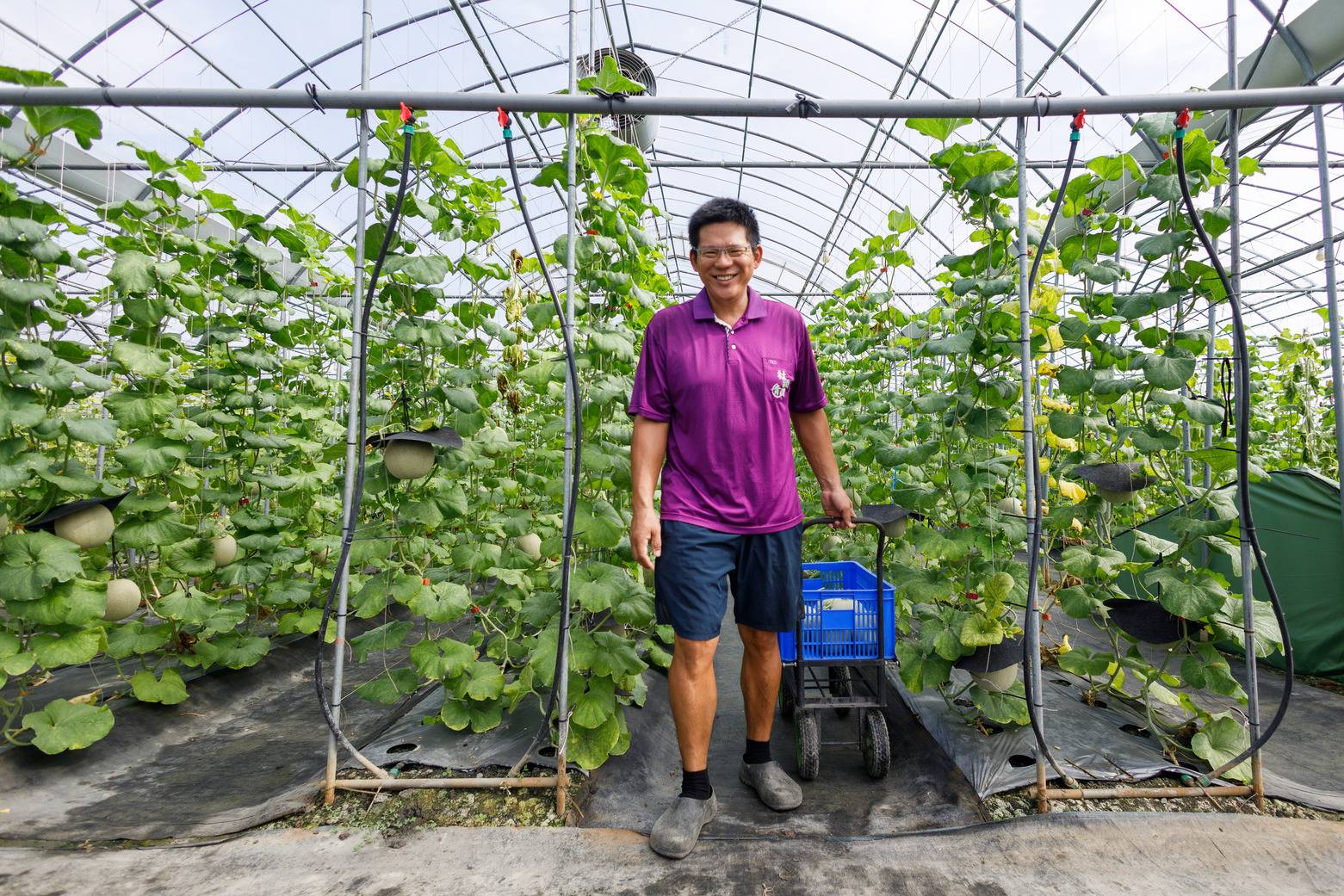 中山醫學院畢業的高豪駿,有感食安危機頻傳,決定返回家鄉務農。