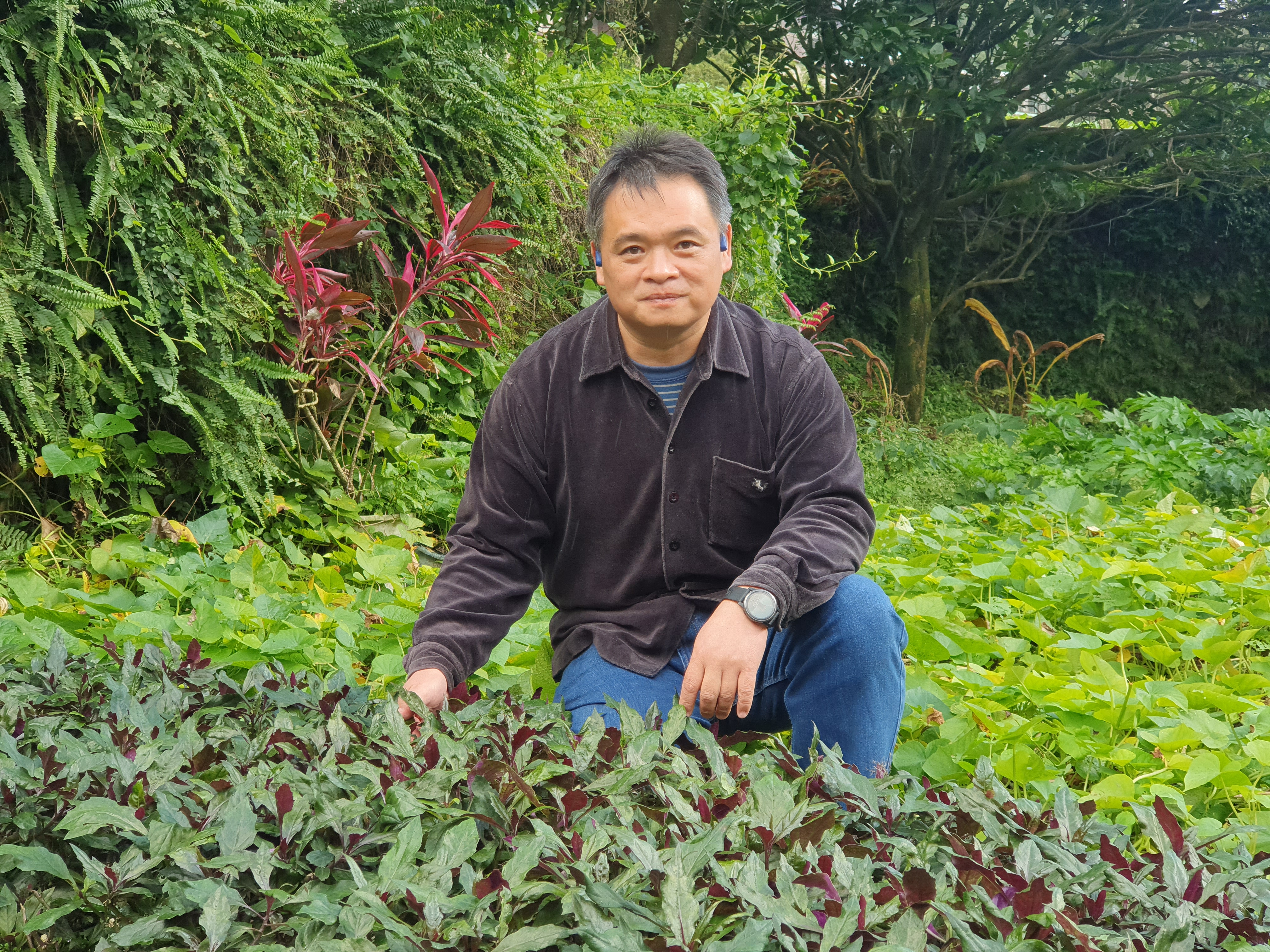 農場主人曹昌正本身是景觀園藝專家。