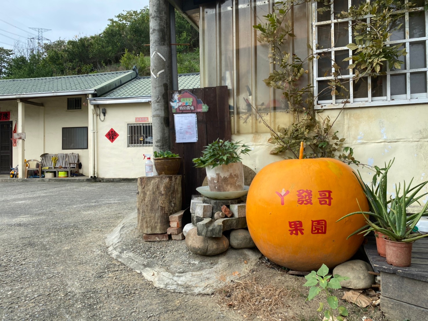 農場入口看到阿發哥果園就知道抵達了。