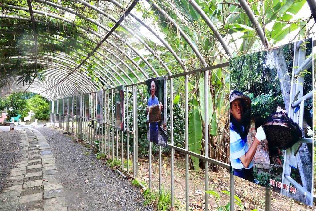 農場設有蜜蜂隧道，多樣照片與解說牌傳遞養蜂知識。