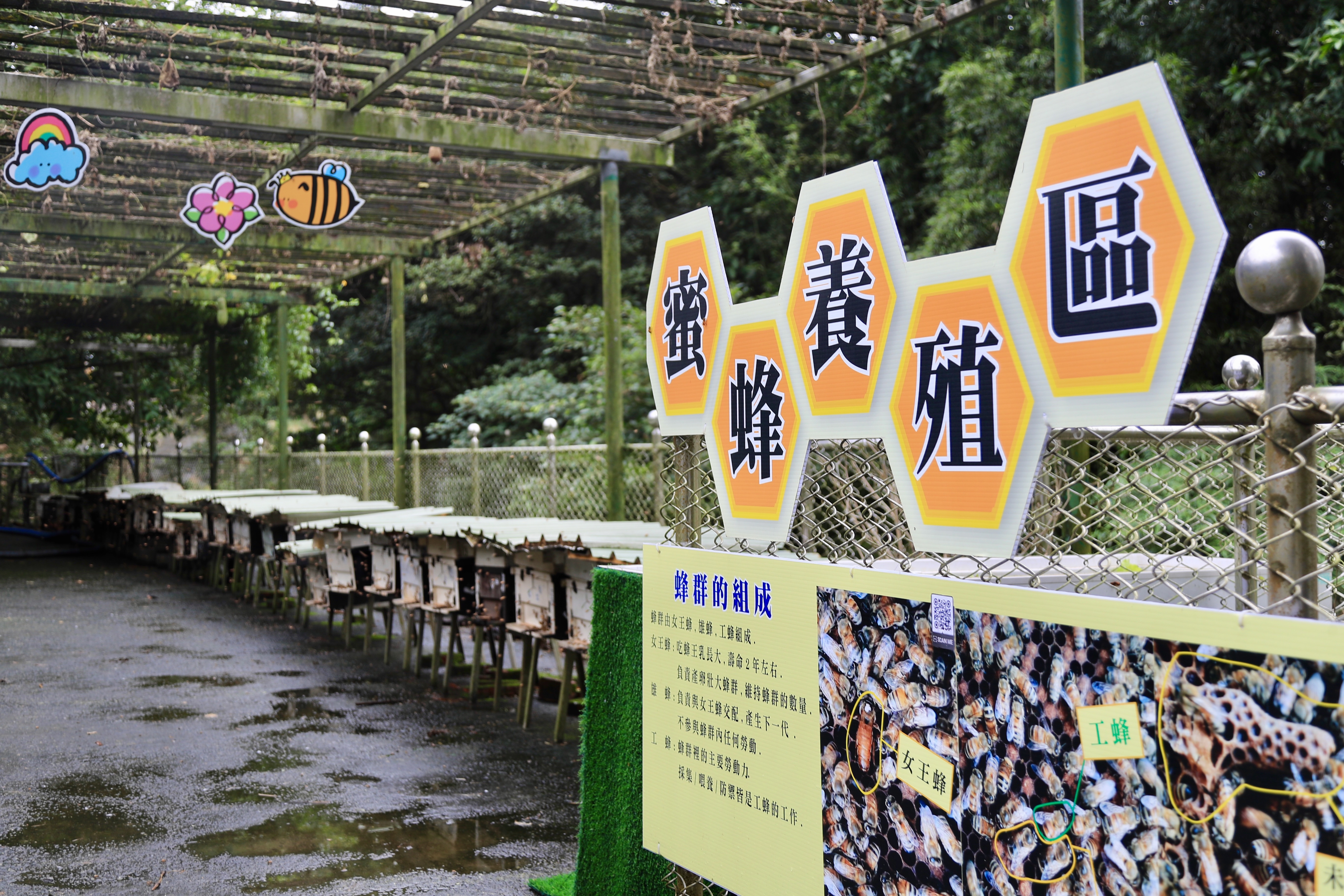 農場設有蜜蜂隧道，多樣照片與解說牌傳遞養蜂知識。