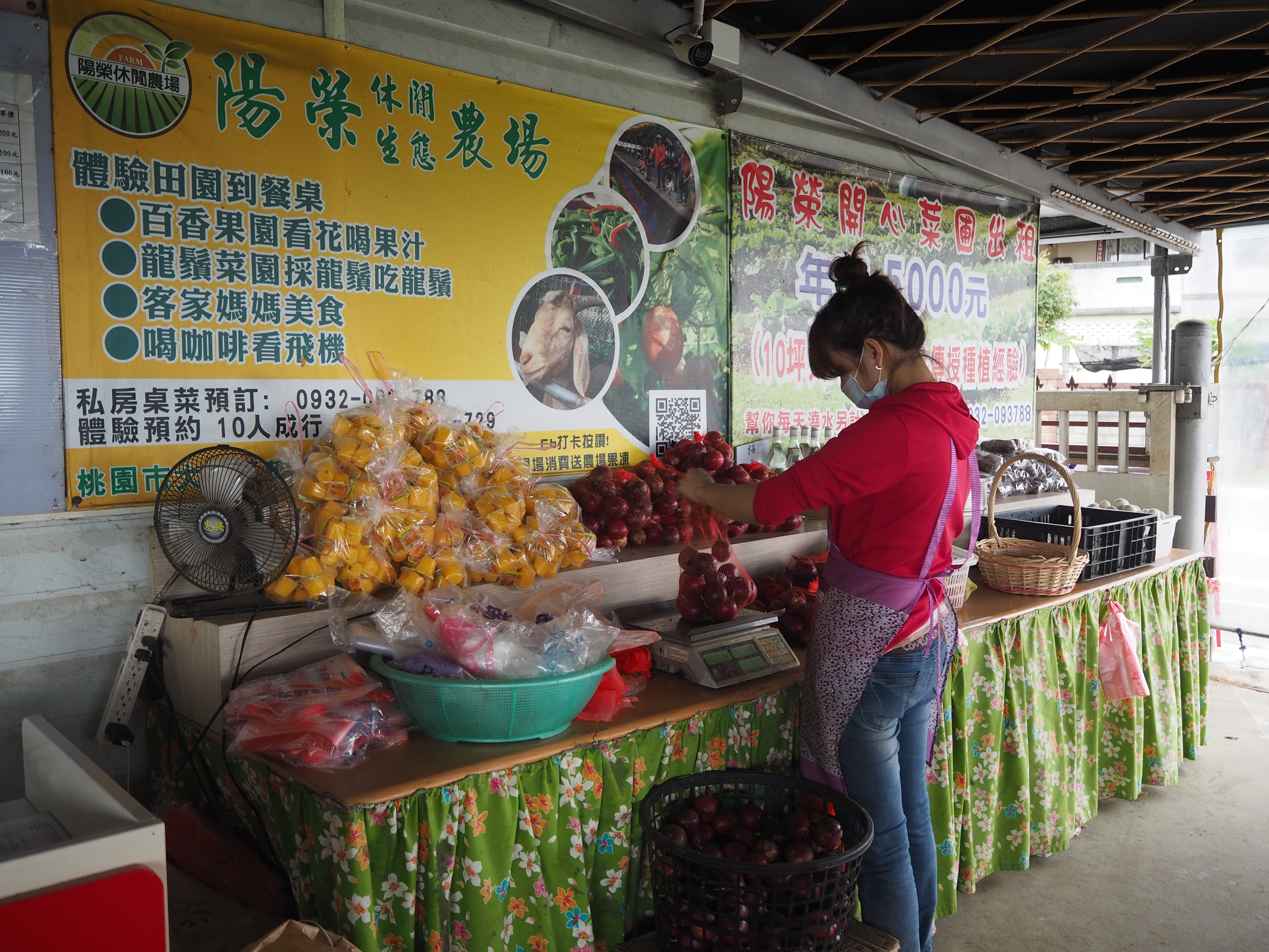 門口有當日採摘的新鮮果蔬販售。