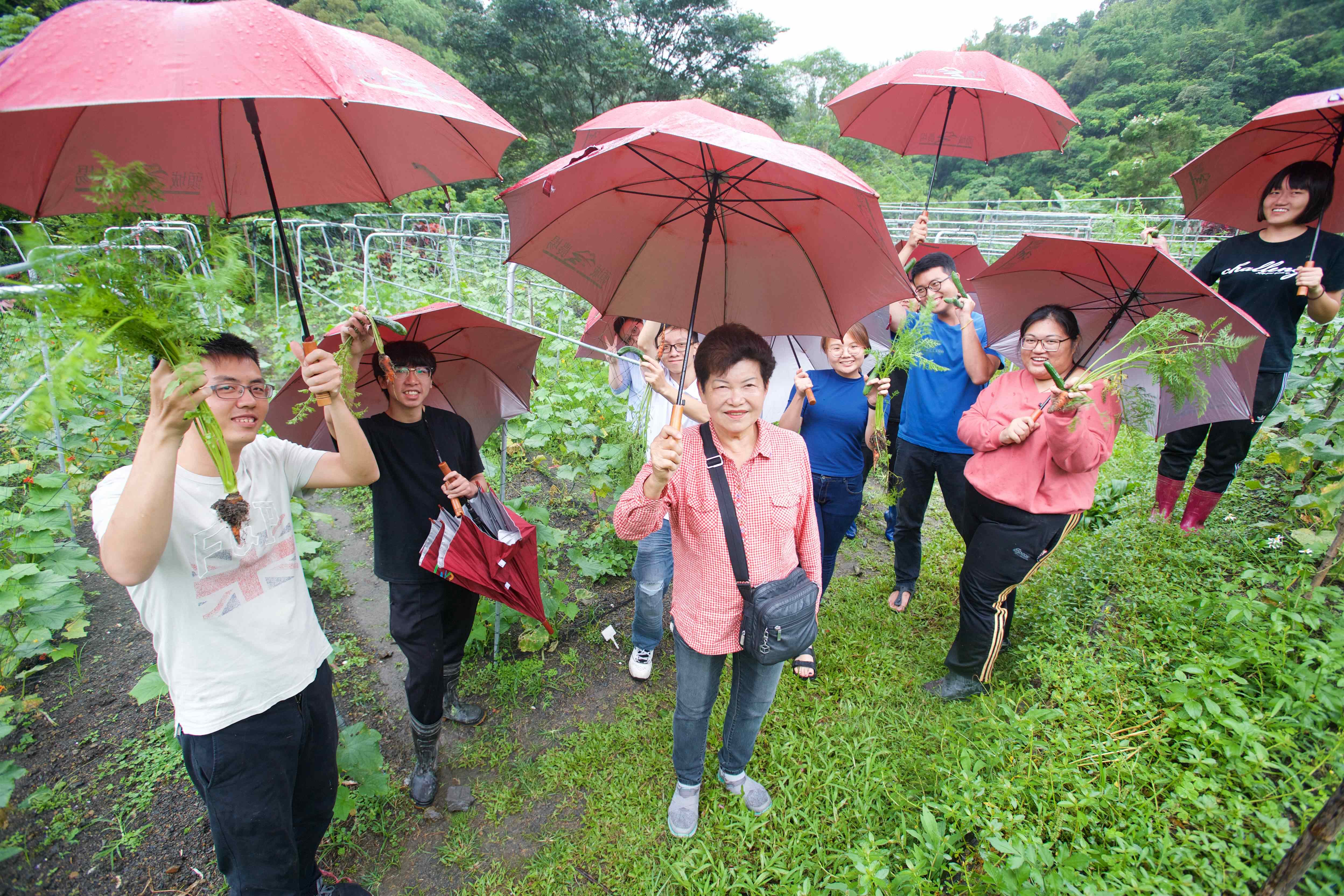 彩繪斗笠DIY+戴著彩繪斗笠下田去，進行有機菜園採摘體驗、農村園區導覽、水稻米食體驗推石磨+自助式午餐+蔬菜盆栽DIY+農村傳統點心品嚐