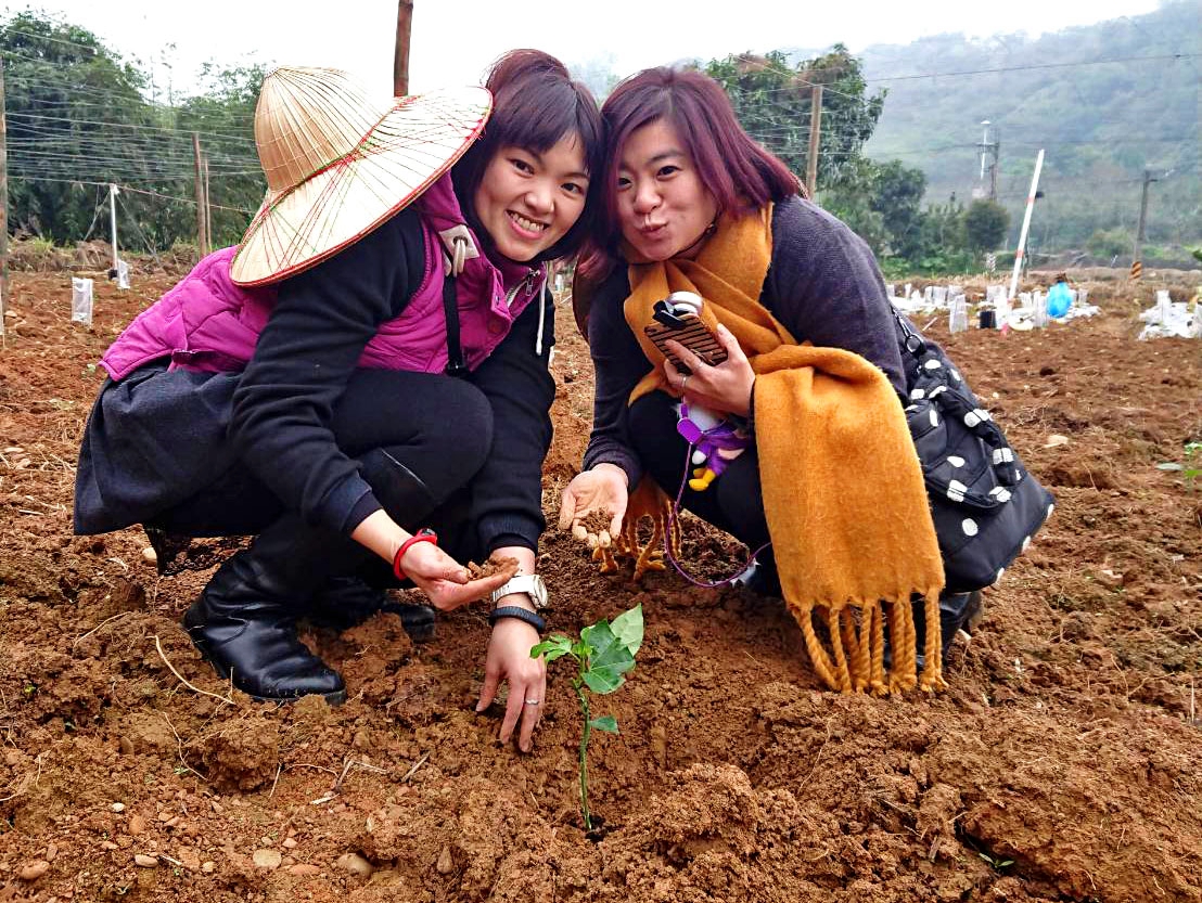 體驗親手種菜、摘菜的田園之樂