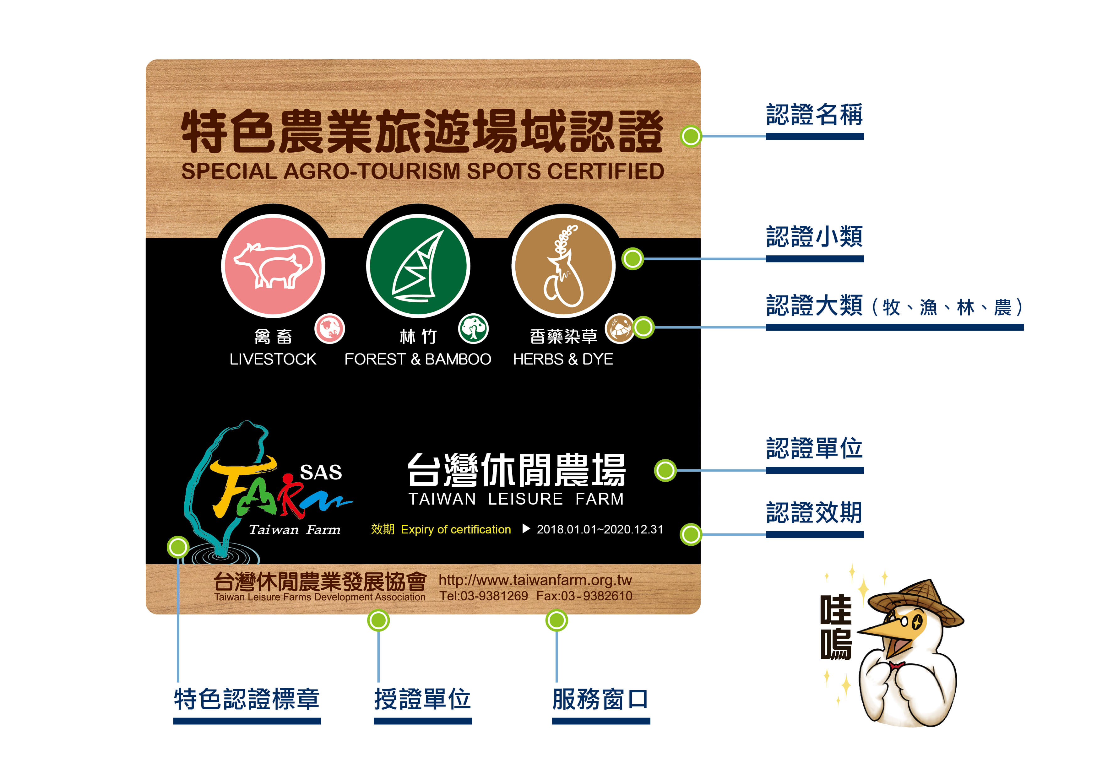 懶人包