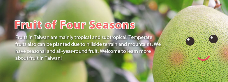 Seasonal Fruits